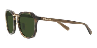 Coach CH 577 HC8366 men Green Geometric Sunglasses