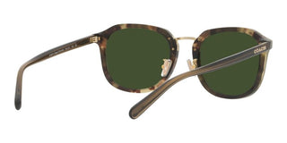 Coach CH 577 HC8366 men Green Geometric Sunglasses