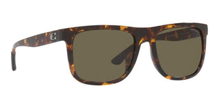 Coach CH 581 HC 8367U men Brown Squared Sunglasses