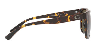 Coach CH 581 HC 8367U men Brown Squared Sunglasses