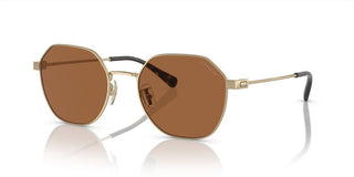Coach CI915 HC 7155 men Gold Geometric Sunglasses