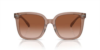 Coach CI918 HC 8381U women Brown Squared Sunglasses