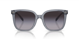 Coach CI918 HC 8381U women Grey Squared Sunglasses