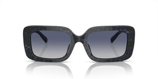 Coach CI922 HC 8380U women Black Geometric Sunglasses