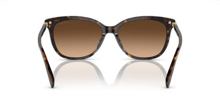 Coach CI926 HC 8378U women Brown Cat Eye Sunglasses