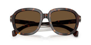 Moncler Cirsee Me6007u Unisex Havana Round Sunglasses