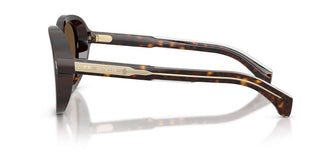 Moncler Cirsee Me6007u Unisex Havana Round Sunglasses