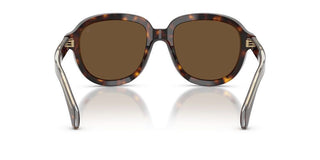 Moncler Cirsee Me6007u Unisex Havana Round Sunglasses