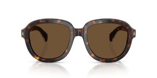 Moncler Cirsee Me6007u Unisex Havana Round Sunglasses