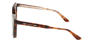 Calvin Klein CK24550MAG-SET women Havana Butterfly Eyeglasses