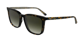 Calvin Klein Ck25507s Men Brown Squared Sunglasses