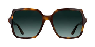 Calvin Klein Ck25537s Women Havana Squared Sunglasses