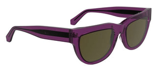 Calvin Klein Jeans Ckj25600s Women Brown Geometric Sunglasses