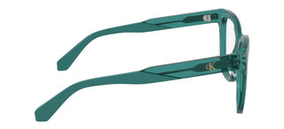 Calvin Klein Jeans Ckj25616 Women  Butterfly Eyeglasses