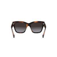 CL40253I