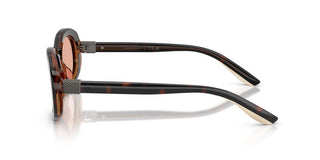 Brunello Cucinelli Claire Bc 4021s Women Havana Oval Sunglasses