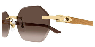 Cartier Signature C de Cartier CT0439S men Gold Geometric Sunglasses