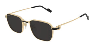 Cartier CT0497S men Gold Rectangle Sunglasses