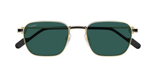 Cartier CT0497S men Gold Rectangle Sunglasses