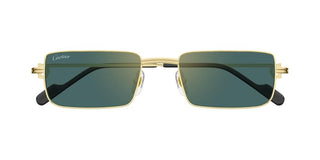 Cartier CT0501S unisex 0 Rectangle Sunglasses