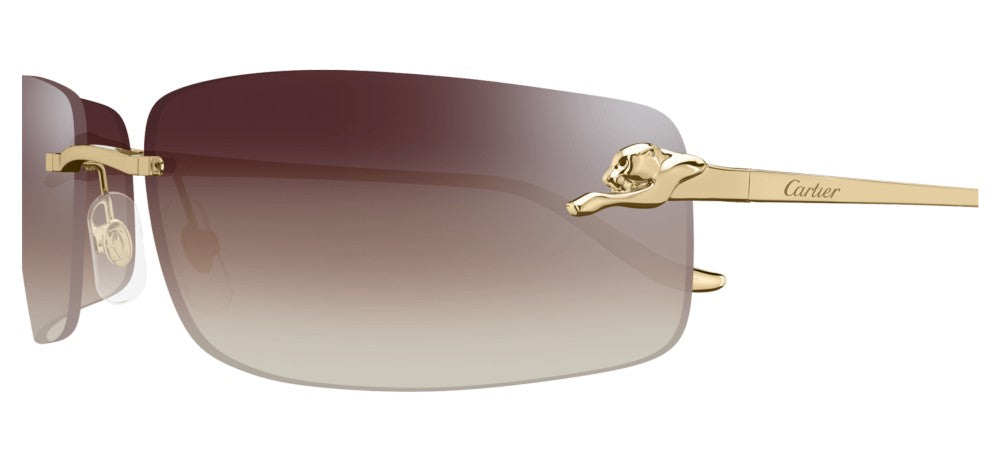 Cartier CT0503S unisex Gold Rectangle Sunglasses – Otticanet USA