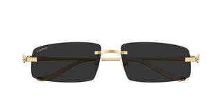 Cartier Panthère De Cartier Ct0505s Unisex Gold Rectangle Sunglasses