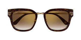 Cartier CT0509S women Havana Round Sunglasses
