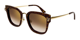 Cartier CT0509S women Havana Round Sunglasses