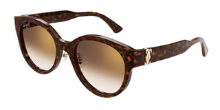 Cartier CT0510S women Havana Pantos Sunglasses