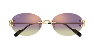 Cartier Signature C de Cartier CT0551S unisex Gold Round Sunglasses