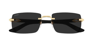 Cartier Ct0579s Unisex Gold Squared Sunglasses