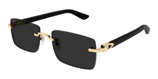 Cartier Ct0579s Unisex Gold Squared Sunglasses
