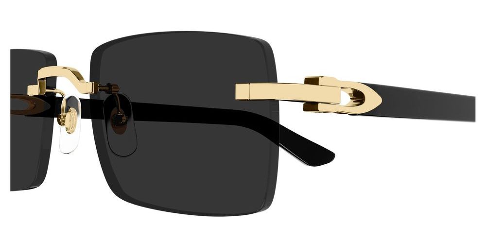 Cartier Ct0579s Unisex Gold Squared Sunglasses – Otticanet