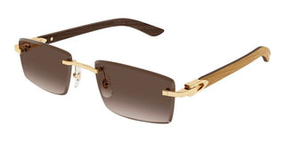 Cartier CT0582S men Gold Squared Sunglasses
