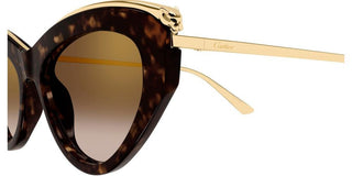 Cartier CT0596S women Havana Cat Eye Sunglasses
