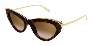 Cartier CT0596S women Havana Cat Eye Sunglasses