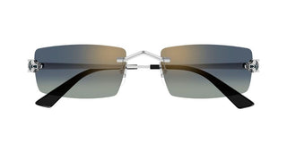 Cartier CT0598S unisex Silver Rectangle Sunglasses