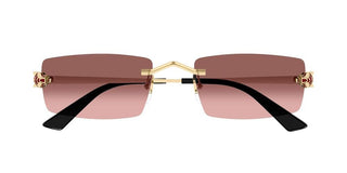 Cartier CT0598S unisex Gold Rectangle Sunglasses