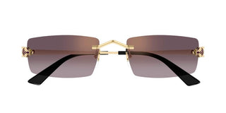 Cartier CT0598S unisex Gold Rectangle Sunglasses