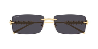Cartier CT0604S unisex Gold Rectangle Sunglasses