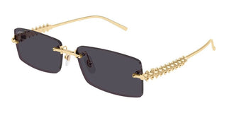 Cartier CT0604S unisex Gold Rectangle Sunglasses