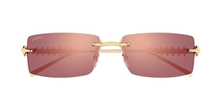 Cartier CT0604S unisex Gold Rectangle Sunglasses