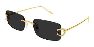 Cartier CT0605S men Gold Squared Sunglasses