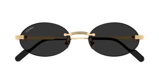 Cartier CT0615S unisex Gold Round Sunglasses