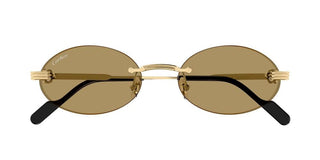 Cartier CT0615S unisex Gold Round Sunglasses