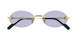 Cartier CT0615S unisex Gold Round Sunglasses