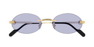 Cartier CT0615S unisex Gold Round Sunglasses