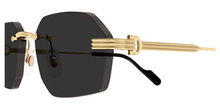 Cartier CT0616S men Gold Geometric Sunglasses
