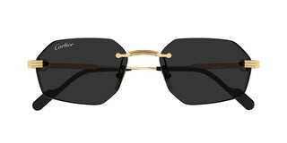 Cartier CT0616S men Gold Geometric Sunglasses