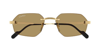 Cartier CT0616S men Gold Geometric Sunglasses